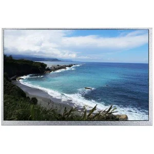 DIGIWISE 13-101ZIEBCAD1-S 10.1 inch TFT LCD, 1280x800, 1200cd/m2, CTP, LVDS