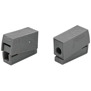 Wago 224-101 Verlichtingsconnector PUSH WIRE/CAGE CLAMP, 2-aderig, 2.5mm², 24A, Grijs