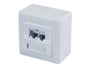 CONN-T017-8-8F2 Dubbele RJ45 UTP Opbouw Wandcontactdoos, CAT5/CAT6 Afgeschermd