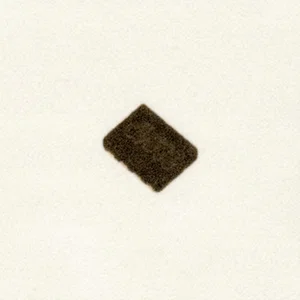 Semtech ECLAMP2394P Bidirectional EMI/RFI Filter with TVS for ESD Protection SLP2116P8