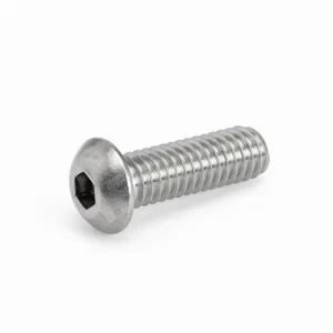 Bossard M3x16 ISO 7380 Vite a Brugola a Testa Lente in Acciaio Inossidabile A4