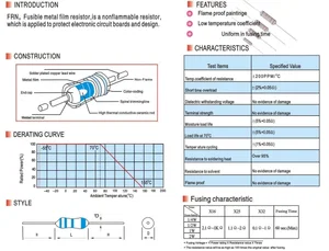 Resistor Div FRN1WS 10 Ohms 1W